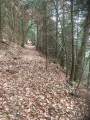 Sentier de descente