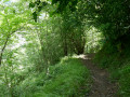 Sentier de descente