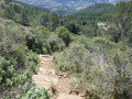Sentier de descente