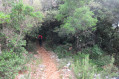 Sentier de descente
