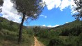 Sentier de droite avec une croix jaune sur le pin Sentier de droite avec une croix jaune sur le pin