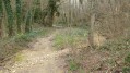 Sentier de Grande Combe