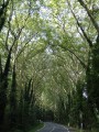 Sentier de l'Essonne au niveau du hameau du Marais