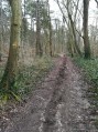 Tour de la Forêt de l'Isle-Adam