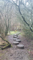 Sentier de la Mambore