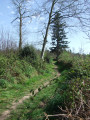 Sentier de la Petite Garenne