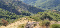Sentier de montée et vue sur la vallée