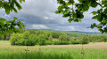 Sentier de randonnée Le Mont de Transet La Chaize