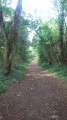 Sentier de randonnée