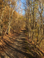 Sentier derrière l'usine Chaudfontaine