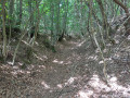 Sentier des Fileuses