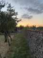 Sentier des Recollets