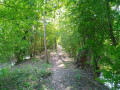 sentier des terrées