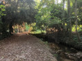 Sentier du creux chemin