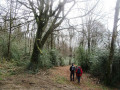 Sentier du Fangas Haut
