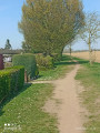 Sentier du marais