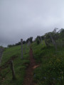 Sentier du Mont Myon