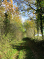 Sentier du petit bois