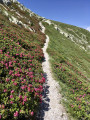 Sentier du retour au Pla Segala