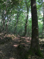 Sentier du Val de Gloire