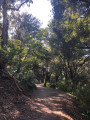 Sentier du vieux canal de la Siagne. Sentier du vieux canal de la Siagne.