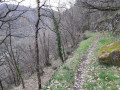 Sentier en balcon au dessus du Tarn