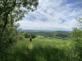 Sentier en bordure de champs
