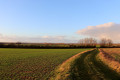 Sentier en campagne argycienne