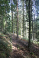 Sentier en descente après le refuge