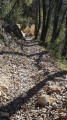 sentier en descente sentier en descente