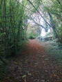 sentier en direction de "Tournebride"