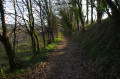 Sentier en forêt