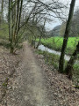 Sentier en forêt