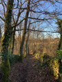 Sentier en forêt