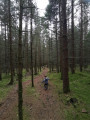 Sentier en forêt