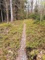 sentier en limite de Forêt Domaniale