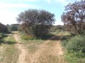 Sentier en patte d'oie