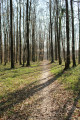 Un petit tour en Forêt Domaniale de Senonches