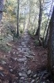 Sur les traces du pastoralisme vauclusien Sur les traces du pastoralisme vauclusien