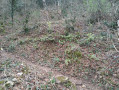 Sentier en zig zag pentu après pas de faucon