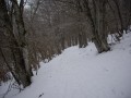 Sentier enneigé
