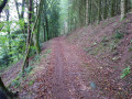 sentier entre Hurbache et Denipaire