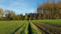 Sentier entre le Pré-RAVeL et la Rue Wastinne