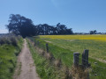 Sentier entre mer et campagne