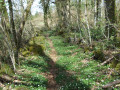 Sentier entre murgers