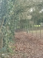 sentier estrée-cauchy