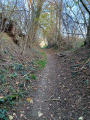 Sentier forestier étroit et escarpé dans certains passages en forêt