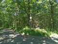 Sentier forestier