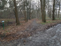 Sentier forestier