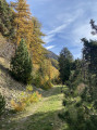 Sentier Forestier